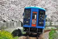 立野駅付近を走行するAR302号